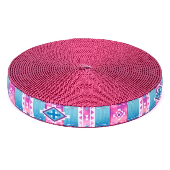 Country Brook Design - Albuquerque on Rose Nylon Webbing (3/4 Inch, 5 Yards)