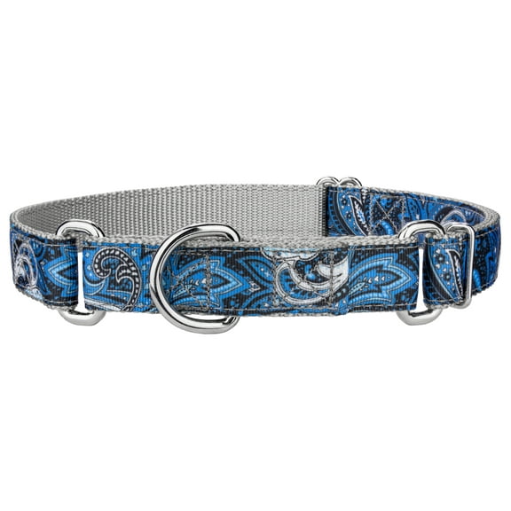 Country Brook Petz® Blue Paisley Ribbon Martingale Dog Collar, Large