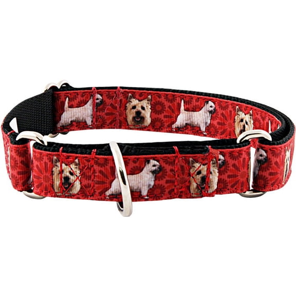 Country Brook Petz® Cairn Terrier Ribbon Martingale Dog Collar Limited Edition, Small