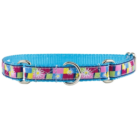 Country Brook Design - Daisy Blocks Ribbon on Ice Blue Martingale Dog Collar - M
