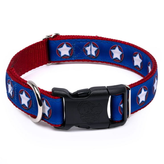 Country Brook Petz® Deluxe American Star Ribbon Dog Collar Limited Edition, Large
