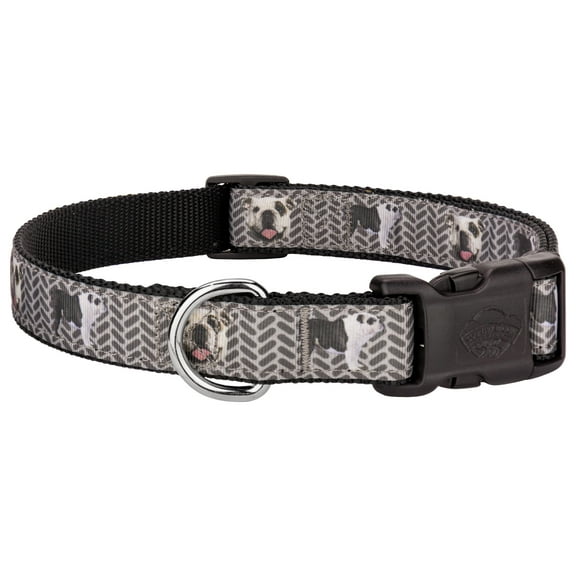 Country Brook Petz® English Bulldog Tough Guy Everyday Ribbon Dog Collar Limited Edition, Extra Large