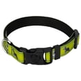 thumbnail image 1 of Country Brook Design - Deluxe Schnauzer Ribbon Dog Collar Limited Edition - Small, 1 of 4