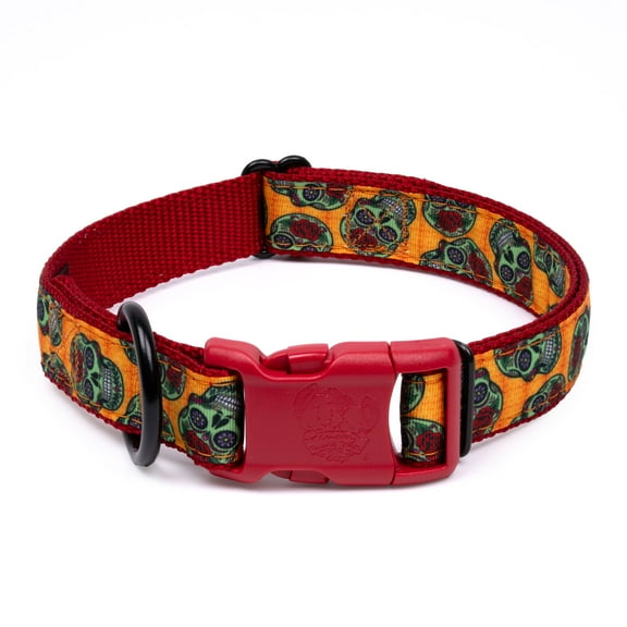 Country Brook Petz® Deluxe Sugar Skulls Ribbon Dog Collar, Extra Large