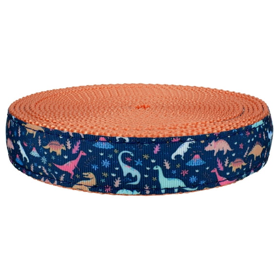 Country Brook Design - Dinosaurs Ribbon on Coral Nylon Webbing (3/4 Inch, 50 Yards)