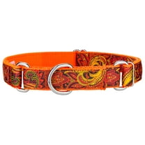 Country Brook Petz® Fire Paisley Ribbon on Neon Orange Martingale Dog Collar, Extra Large
