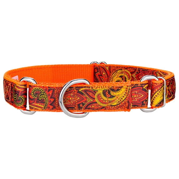 Country Brook Petz® Fire Paisley Ribbon on Neon Orange Martingale Dog Collar, Extra Large