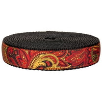 Country Brook Design - Fire Paisley on Black Nylon Webbing (3/4 Inch, 20 Yards)