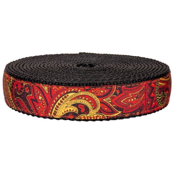Country Brook Design - Fire Paisley on Black Nylon Webbing (3/4 Inch, 5 Yards)