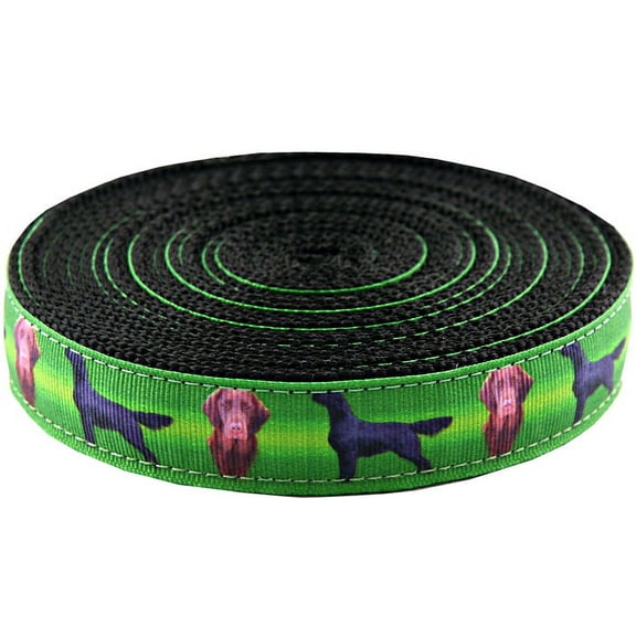 Country Brook Design - Flat Coated Retriever on Black Webbing (1 Inch, 5 Yards)