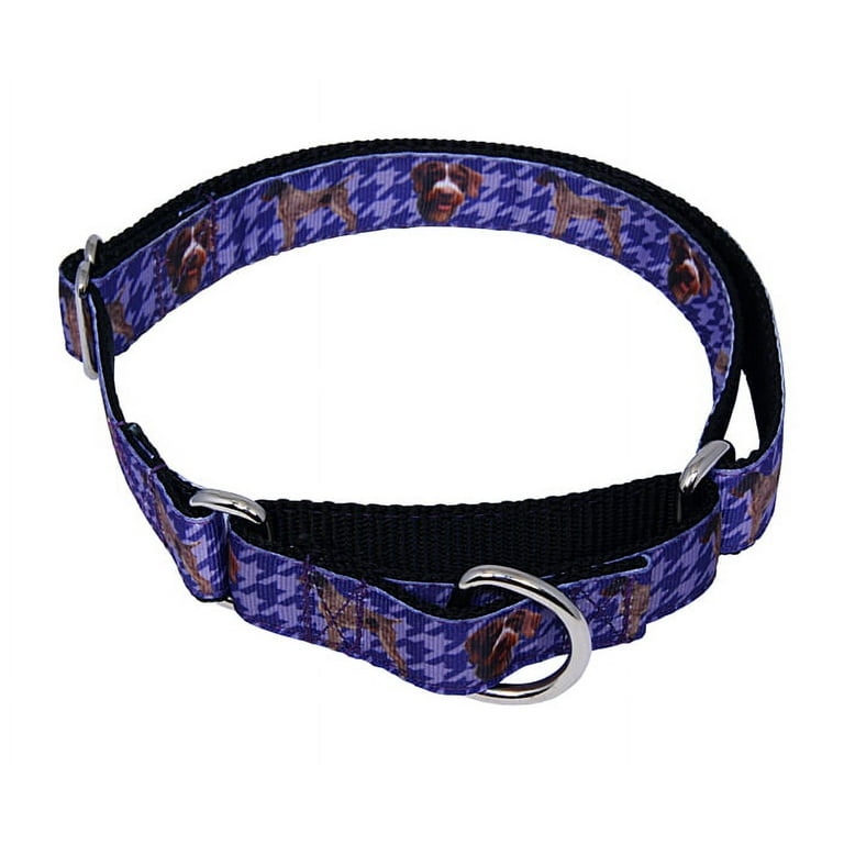Country brook design best sale martingale dog collar