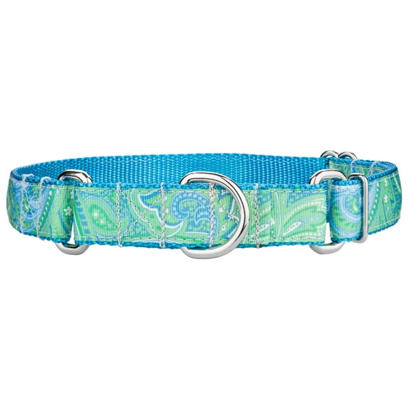 Country Brook Petz® Green Paisley Ribbon Martingale Dog Collar, Small