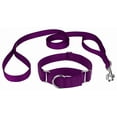 thumbnail image 1 of Country Brook Petz® Martingale Heavyduty Nylon Dog Collar/Double Handle Leash - Purple - Medium, 1 of 7
