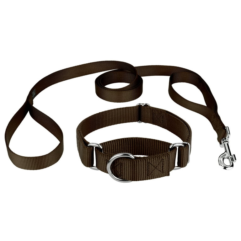 Country Brook Design Martingale Heavyduty Nylon Dog Collar and Double Handle Leash Extra Large