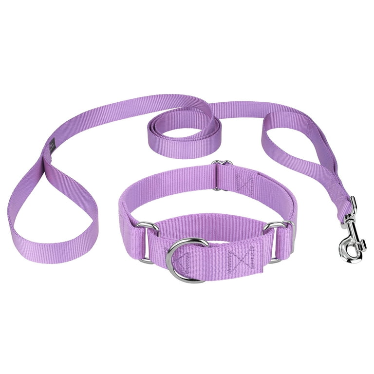 Lavender dog cheap collar and leash