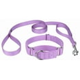 thumbnail image 1 of Country Brook Petz® Martingale Heavyduty Nylon Dog Collar and Double Handle Leash - Lavender - Extra Large, 1 of 7