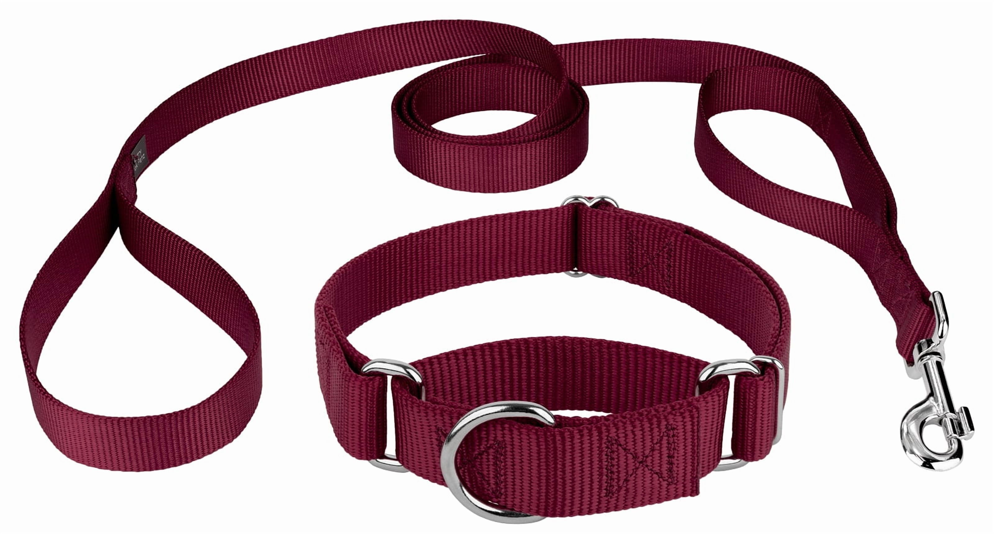 Country Brook Petz® Martingale Nylon Dog Collar & Double Handle Leash - Burgundy - Small