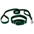 thumbnail image 1 of Country Brook Petz® Martingale Nylon Dog Collar & Double Handle Leash - Green - Extra Large, 1 of 7