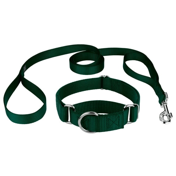 Country Brook Petz® Martingale Nylon Dog Collar & Double Handle Leash - Green - Large