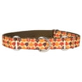 thumbnail image 1 of Country Brook Petz® Nature Walk Ribbon Martingale Collar, Medium, 1 of 2