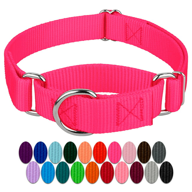 Country Brook Design Plastic & Nylon Plain Slip-On Dog Collar, Pink, L