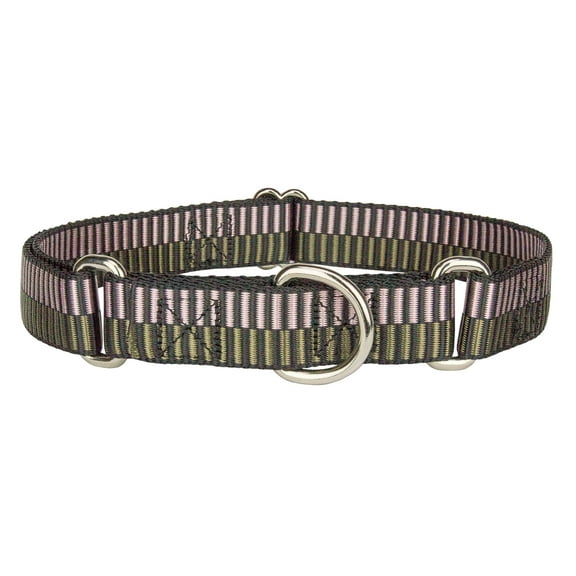 Country Brook Petz® Porcelain Earth Regency Stripes Martingale Dog Collar, Medium