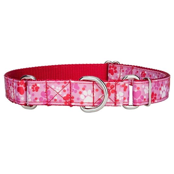 Country Brook Petz® Puppy Love Ribbon Martingale Dog Collar, Small