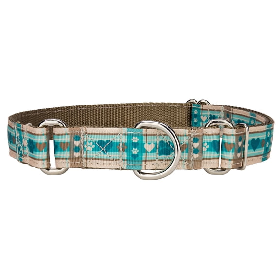 Country Brook Petz® Puppy Picnic Ribbon Martingale Dog Collar, Extra Large