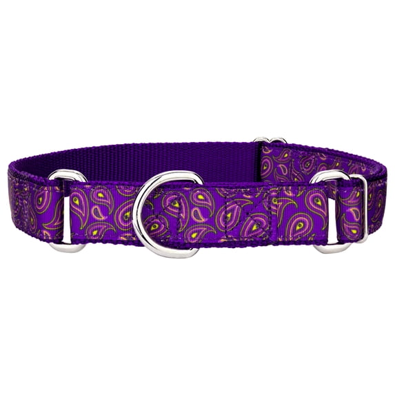 Country Brook Petz® Purple Paisley Ribbon Martingale Dog Collar, Small