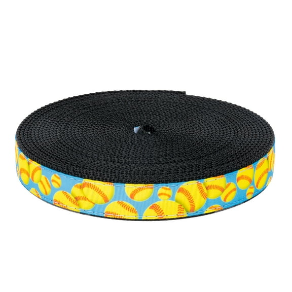 Country Brook Design - Softball Ribbon on Black Nylon Webbing (1 Inch, 5 Yards)