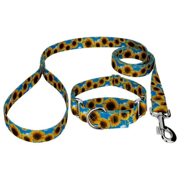 Country Brook Design® Sunflowers Martingale Dog Collar and Leash, 2XS