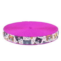 Country Brook Design - Whisker Wise Ribbon on Fuchsia Nylon Webbing (1 Inch, 5 Yards)