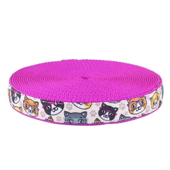 Country Brook Design - Whisker Wise Ribbon on Fuchsia Nylon Webbing (1 Inch, 50 Yards)