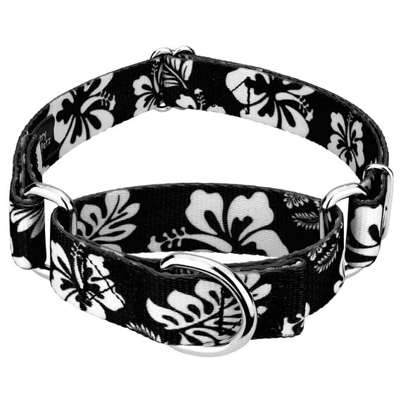 Country Brook Design® Black Hawaiian Martingale Dog Collar