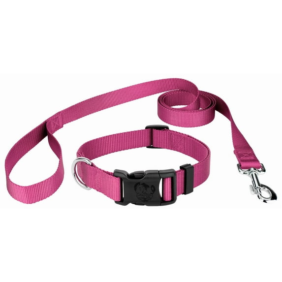Country Brook Design® Deluxe Nylon Dog Collar and Leash