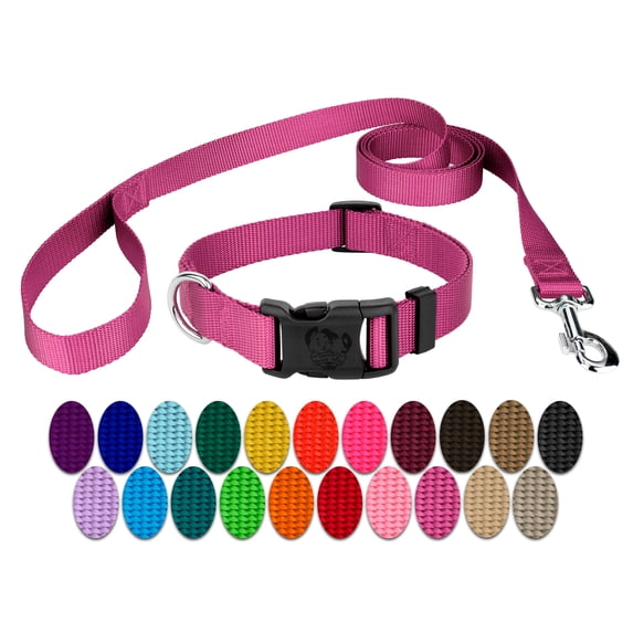 Country Brook Design® Deluxe Nylon Dog Collar and Leash