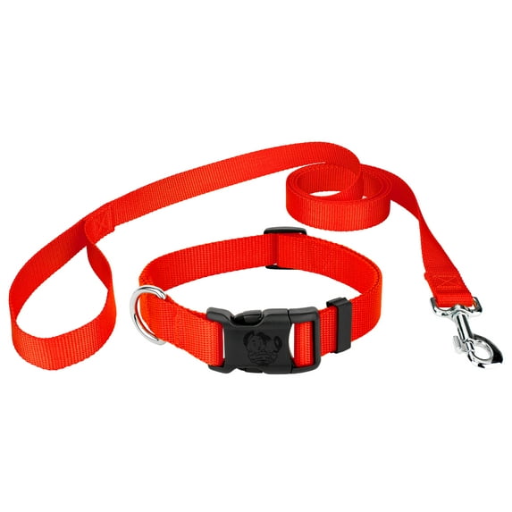 Country Brook Design® Deluxe Nylon Dog Collar and Leash