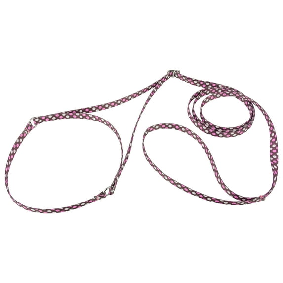 Country Brook Design® Martingale Dog Show Lead