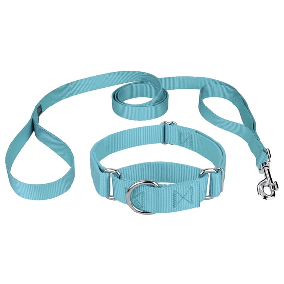 Country Brook Design® Martingale Heavyduty Nylon Dog Collar/Double Handle Leash