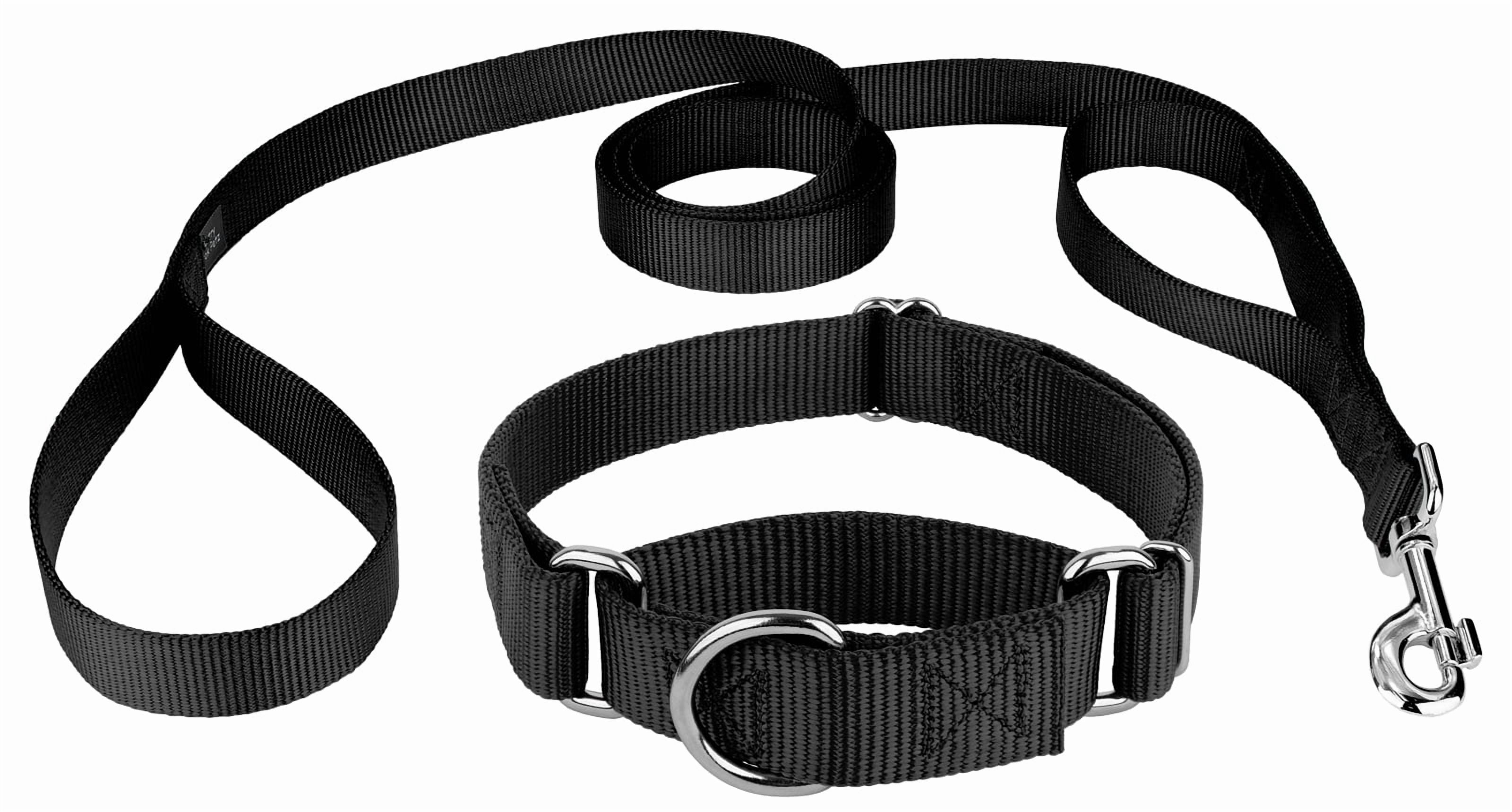 Country Brook Design&reg; Martingale Heavyduty Nylon Dog Collar/Double Handle Leash