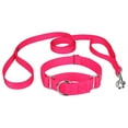 thumbnail image 1 of Country Brook Design&reg; Martingale Heavyduty Nylon Dog Collar/Double Handle Leash, 1 of 7