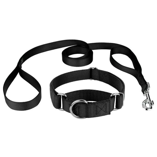 Country Brook Design Martingale Heavyduty Nylon Dog Collar Double Handle Leash Black