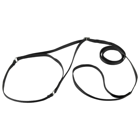 Country Brook Design® Nylon Martingale Dog Show Lead