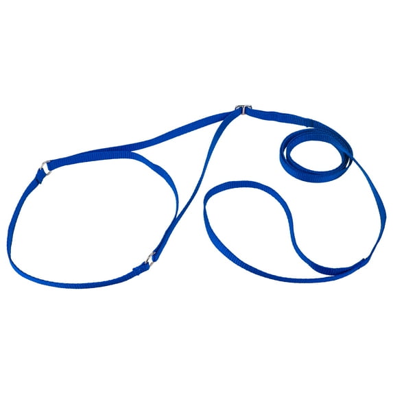 Country Brook Design® Nylon Martingale Dog Show Lead