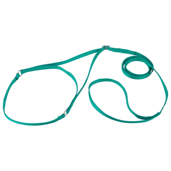 Country Brook Design&reg; Nylon Martingale Dog Show Lead