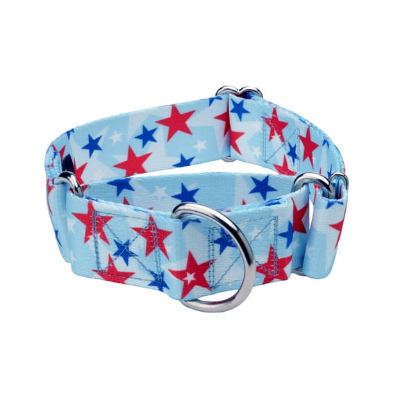 Country Brook Petz® 1 1/2 inch American Celebration Martingale Dog Collar, Medium