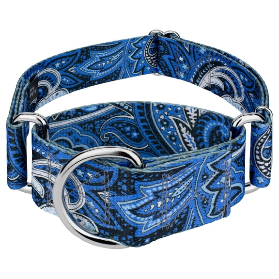 Country Brook Petz® 1 1/2 inch Blue Paisley Martingale Dog Collar, Medium