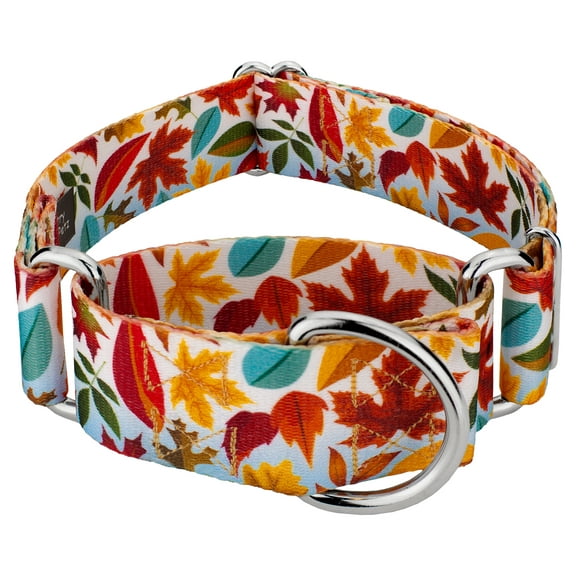 Country Brook Petz® 1 1/2 inch Brisk Autumn Martingale Dog Collar, Extra Large