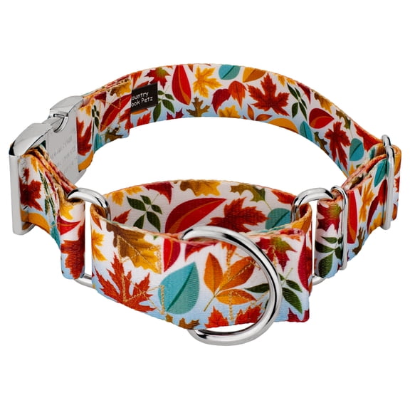 Country Brook Petz® 1 1/2 inch Brisk Autumn Martingale with Premium Buckle, Medium