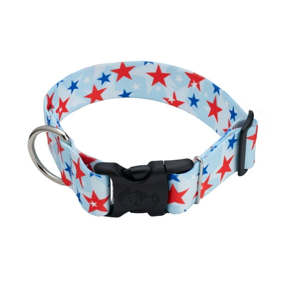 Country Brook Petz® 1 1/2 inch Deluxe American Celebration Dog Collar, Extra Large